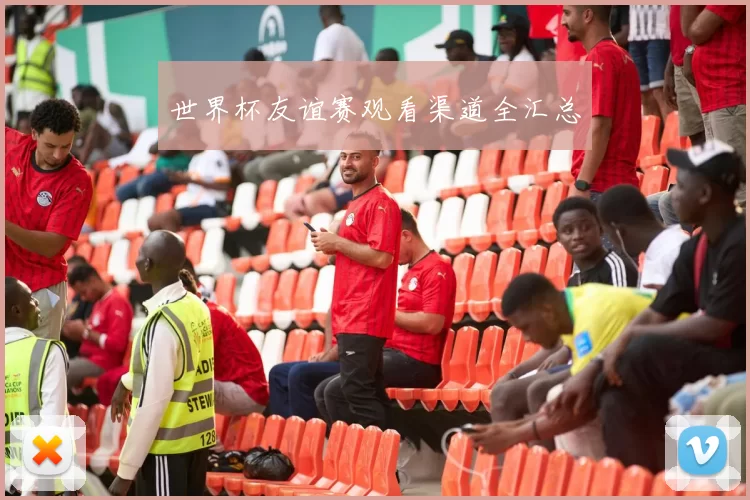 世界杯友谊赛观看渠道全汇总