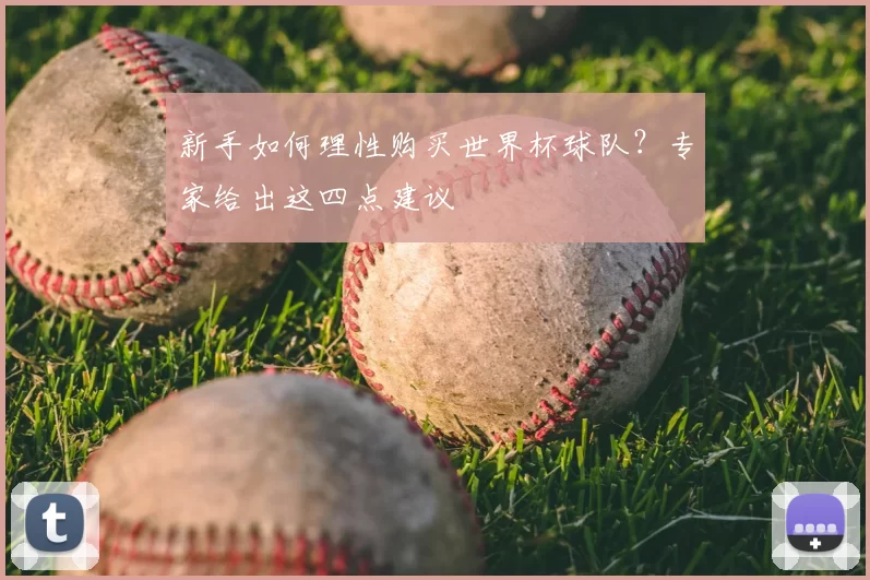 新手如何理性购买世界杯球队？专家给出这四点建议