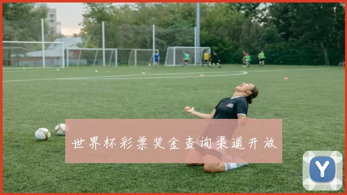 世界杯彩票奖金查询渠道开放