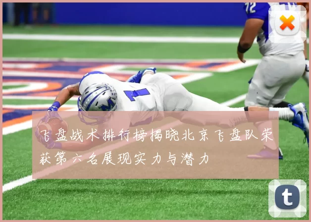 飞盘战术排行榜揭晓北京飞盘队荣获第六名展现实力与潜力