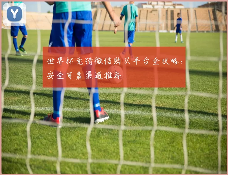 世界杯竞猜微信购买平台全攻略，安全可靠渠道推荐