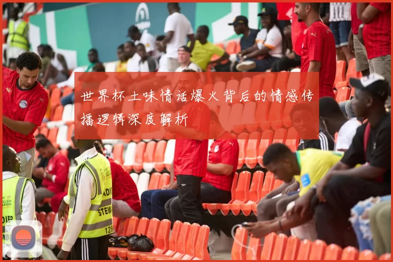 世界杯土味情话爆火背后的情感传播逻辑深度解析