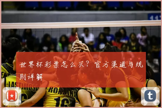 世界杯彩票怎么买？官方渠道与规则详解