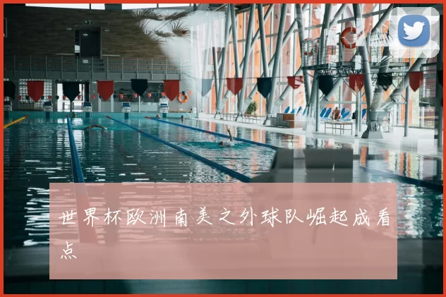 世界杯欧洲南美之外球队崛起成看点