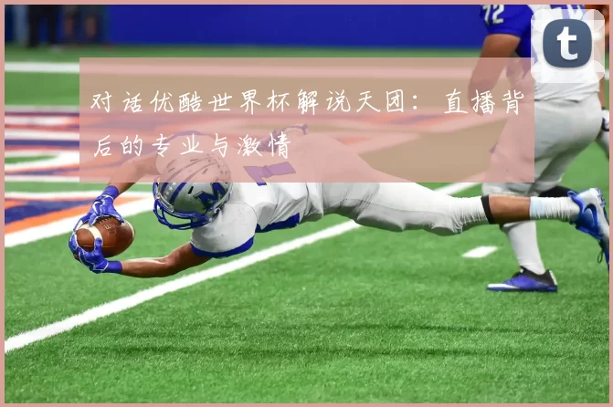 对话优酷世界杯解说天团:直播背后的专业与激情