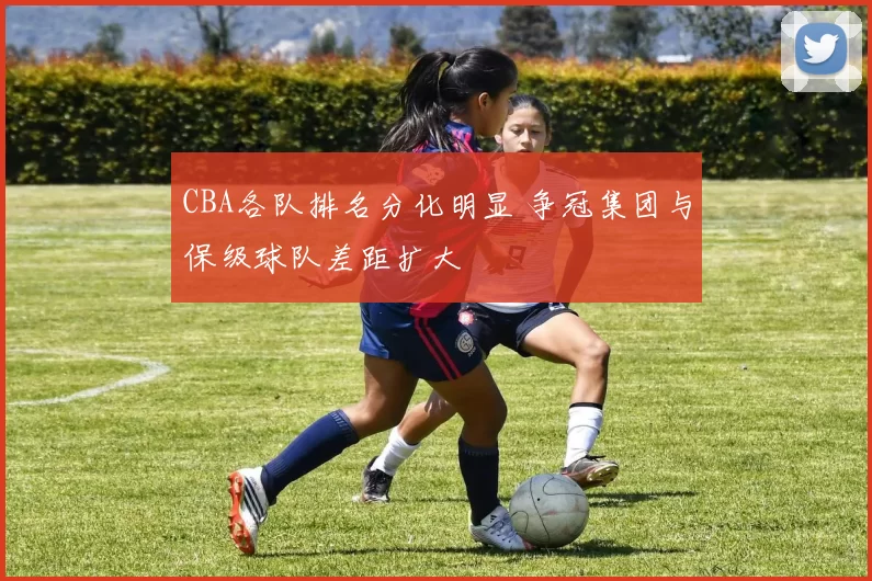 CBA各队排名分化明显 争冠集团与保级球队差距扩大