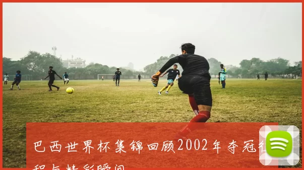 巴西世界杯集锦回顾2002年夺冠征程与精彩瞬间