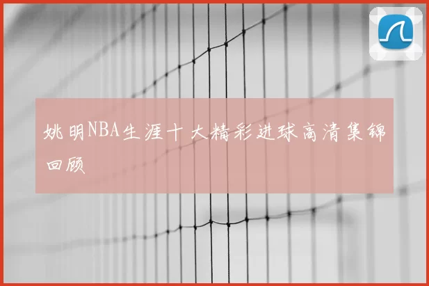 姚明NBA生涯十大精彩进球高清集锦回顾