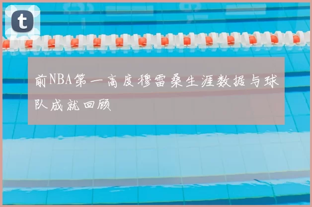 前NBA第一高度穆雷桑生涯数据与球队成就回顾